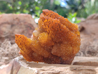 Natural Golden Solar Spirit Quartz Clusters x 12 From Boekenhouthoek, South Africa - Toprock Gemstones and Minerals