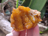 Natural Golden Solar Spirit Quartz Clusters x 12 From Boekenhouthoek, South Africa - Toprock Gemstones and Minerals