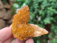 Natural Golden Solar Spirit Quartz Clusters x 12 From Boekenhouthoek, South Africa - Toprock Gemstones and Minerals