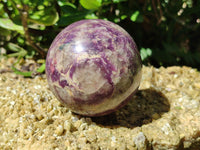 Polished Lepidolite with Pink Rubellite Spheres x 2 From Madagascar - Toprock Gemstones and Minerals