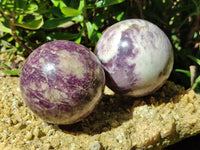 Polished Lepidolite with Pink Rubellite Spheres x 2 From Madagascar - Toprock Gemstones and Minerals