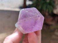 Natural Jacaranda Amethyst Single Quartz Crystals x 24 from Mumbwa, Zambia - Toprock Gemstones and Minerals