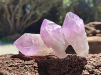Natural Jacaranda Amethyst Single Quartz Crystals x 24 from Mumbwa, Zambia - Toprock Gemstones and Minerals