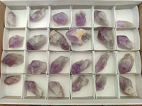 Natural Jacaranda Amethyst Single Quartz Crystals x 24 from Mumbwa, Zambia - Toprock Gemstones and Minerals