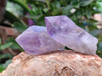 Natural Jacaranda Amethyst Single Quartz Crystals x 24 from Mumbwa, Zambia - Toprock Gemstones and Minerals