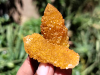 Natural Golden Solar Spirit Quartz Clusters x 35 From Boekenhouthoek, South Africa - Toprock Gemstones and Minerals