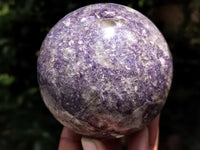 Polished Lepidolite with Pink Rubellite Spheres x 2 From Madagascar - Toprock Gemstones and Minerals