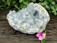 Natural Celestite Geode Specimen x 1 From Sakoany, Madagascar - Toprock Gemstones and Minerals