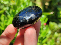 Polished Black Tourmaline Palm Stones x 12 From Madagascar - Toprock Gemstones and Minerals