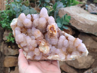 Natural Ametrine Spirit Quartz Cluster x 1 From Boekenhouthoek, South Africa - Toprock Gemstones and Minerals