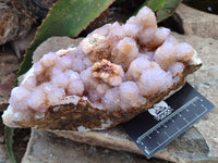 Natural Ametrine Spirit Quartz Cluster x 1 From Boekenhouthoek, South Africa - Toprock Gemstones and Minerals