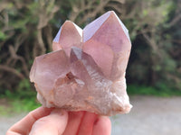 Natural Jacaranda Amethyst Quartz Clusters x 2 from Mumbwa, Zambia - Toprock Gemstones and Minerals