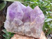 Natural Jacaranda Amethyst Quartz Clusters x 2 from Mumbwa, Zambia - Toprock Gemstones and Minerals