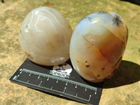 Polished Dendritic Agate Standing Free Forms x 6 From Madagascar - Toprock Gemstones and Minerals