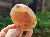 Polished Dendritic Agate Standing Free Forms x 6 From Madagascar - Toprock Gemstones and Minerals