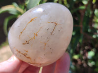 Polished Dendritic Agate Standing Free Forms x 6 From Madagascar - Toprock Gemstones and Minerals