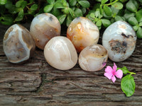 Polished Dendritic Agate Standing Free Forms x 6 From Madagascar - Toprock Gemstones and Minerals