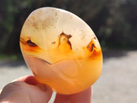 Polished Dendritic Agate Standing Free Forms x 6 From Madagascar - Toprock Gemstones and Minerals