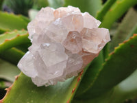 Natural Amethyst Spirit Quartz Clusters x 6 From Boekenhouthoek, South Africa - Toprock Gemstones and Minerals