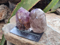 Polished Smokey Amethyst Window Quartz Crystals x 6 From Akansobe, Madagascar - Toprock Gemstones and Minerals