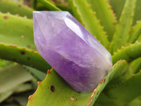 Polished Smokey Amethyst Window Quartz Crystals x 6 From Akansobe, Madagascar - Toprock Gemstones and Minerals
