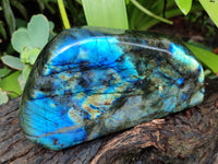 Polished Labradorite Standing Free Forms x 2 From Tulear, Madagascar - Toprock Gemstones and Minerals