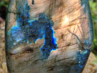 Polished Labradorite Standing Free Forms x 2 From Tulear, Madagascar - Toprock Gemstones and Minerals