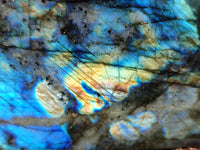 Polished Labradorite Standing Free Forms x 2 From Tulear, Madagascar - Toprock Gemstones and Minerals