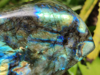 Polished Labradorite Standing Free Forms x 2 From Tulear, Madagascar - Toprock Gemstones and Minerals
