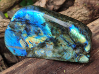 Polished Labradorite Standing Free Forms x 2 From Tulear, Madagascar - Toprock Gemstones and Minerals