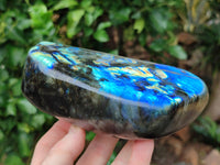 Polished Labradorite Standing Free Forms x 2 From Tulear, Madagascar - Toprock Gemstones and Minerals