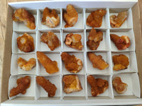Natural Golden Solar Spirit Quartz Crystals x 20 From Boekenhouthoek, South Africa - Toprock Gemstones and Minerals