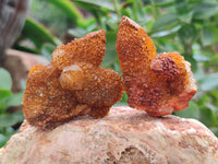 Natural Golden Solar Spirit Quartz Crystals x 20 From Boekenhouthoek, South Africa - Toprock Gemstones and Minerals