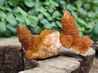 Natural Golden Solar Spirit Quartz Crystals x 20 From Boekenhouthoek, South Africa - Toprock Gemstones and Minerals