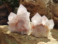 Natural Amethyst Spirit Quartz Clusters x 6 From Boekenhouthoek, South Africa - Toprock Gemstones and Minerals