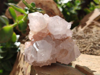 Natural Amethyst Spirit Quartz Clusters x 6 From Boekenhouthoek, South Africa - Toprock Gemstones and Minerals