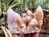 Natural Ametrine Spirit Quartz Clusters x 3 From Boekenhouthoek, South Africa - Toprock Gemstones and Minerals
