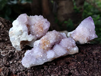 Natural Amethyst Spirit Quartz Clusters x 12 From Boekenhouthoek, South Africa - Toprock Gemstones and Minerals