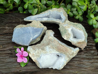 Natural Blue Lace Agate Geode Specimens x 4 From Nsanje, Malawi - Toprock Gemstones and Minerals