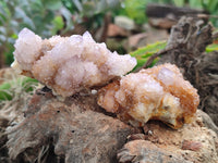 Natural Ametrine Spirit Quartz Clusters x 12 From Boekenhouthoek, South Africa - Toprock Gemstones and Minerals
