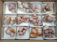Natural Ametrine Spirit Quartz Clusters x 12 From Boekenhouthoek, South Africa - Toprock Gemstones and Minerals