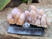 Natural Ametrine Spirit Quartz Clusters x 12 From Boekenhouthoek, South Africa - Toprock Gemstones and Minerals