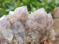 Natural Ametrine Spirit Quartz Clusters x 2 From Boekenhouthoek, South Africa - Toprock Gemstones and Minerals