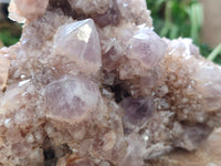 Natural Ametrine Spirit Quartz Clusters x 2 From Boekenhouthoek, South Africa - Toprock Gemstones and Minerals