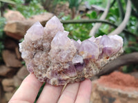 Natural Ametrine Spirit Quartz Clusters x 2 From Boekenhouthoek, South Africa - Toprock Gemstones and Minerals