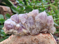 Natural Ametrine Spirit Quartz Clusters x 2 From Boekenhouthoek, South Africa - Toprock Gemstones and Minerals