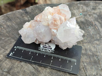 Natural Amethyst Spirit Quartz Clusters x 6 From Boekenhouthoek, South Africa - Toprock Gemstones and Minerals