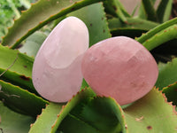 Polished Rose Quartz Standing Free Forms x 6 From Ambatondrazaka, Madagascar - Toprock Gemstones and Minerals