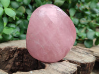 Polished Rose Quartz Standing Free Forms x 6 From Ambatondrazaka, Madagascar - Toprock Gemstones and Minerals