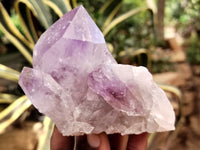 Natural Jacaranda Amethyst Quartz Cluster x 6 from Mumbwa, Zambia - Toprock Gemstones and Minerals